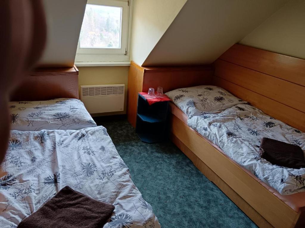 Jandlova Vila Frenštát pod Radhoštěm Habitación foto